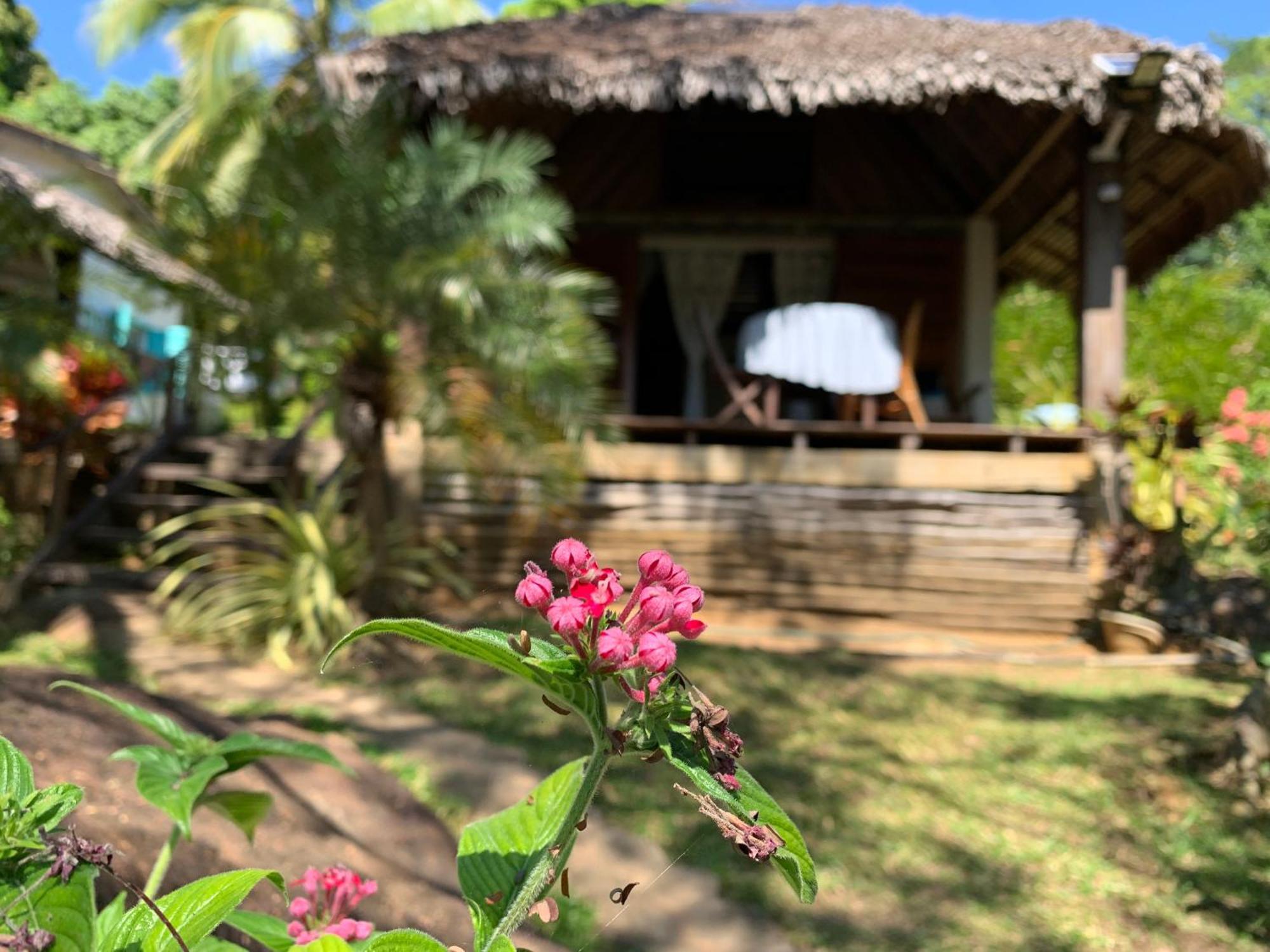 Bed and Breakfast Les Jardins D'Ankify Andimaka Exterior foto
