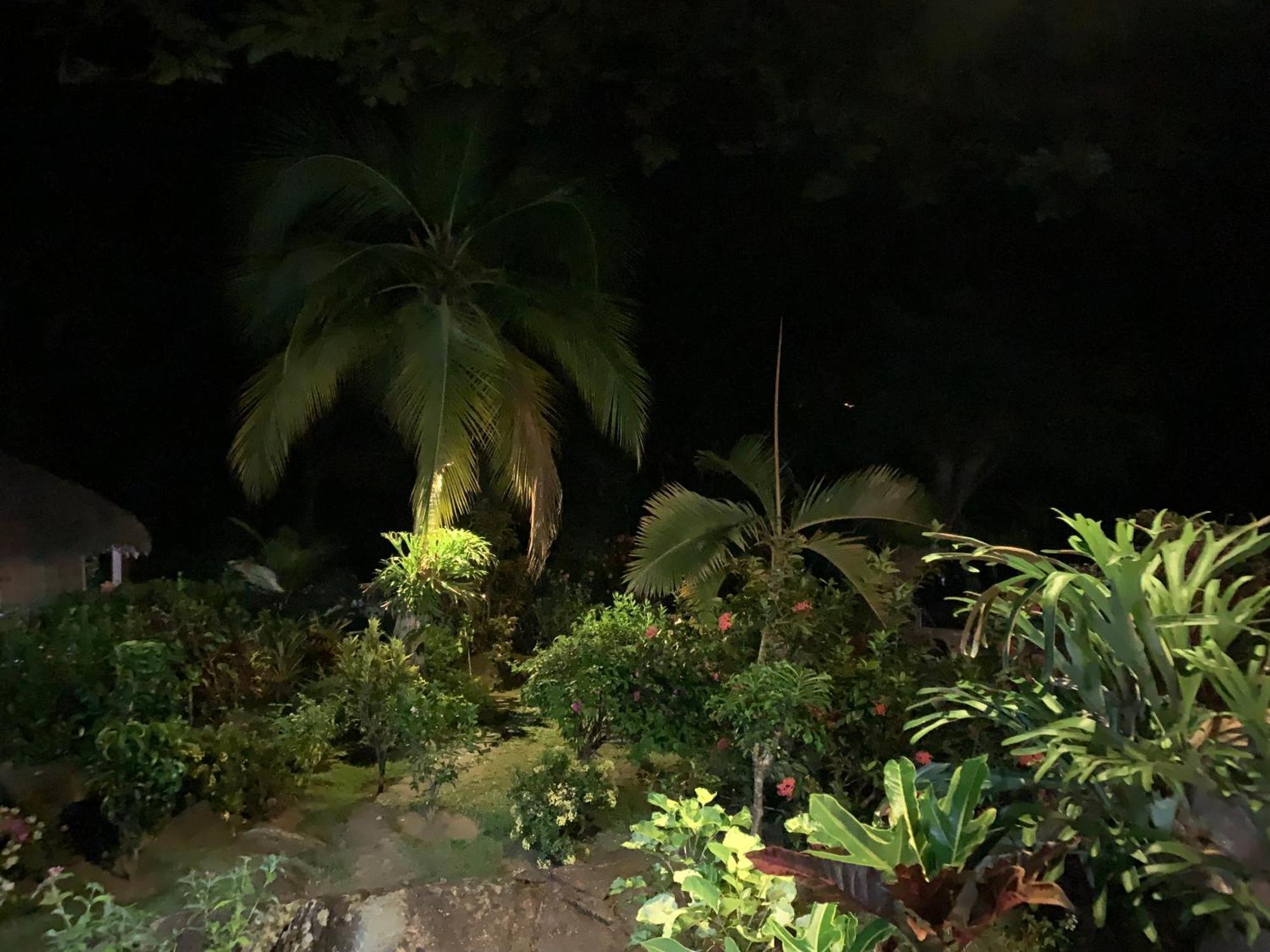 Bed and Breakfast Les Jardins D'Ankify Andimaka Exterior foto