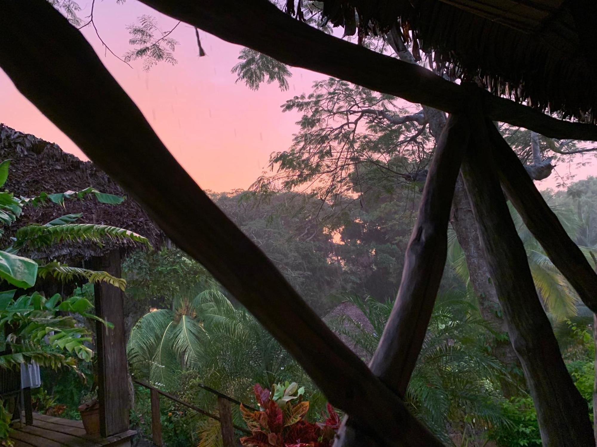 Bed and Breakfast Les Jardins D'Ankify Andimaka Exterior foto
