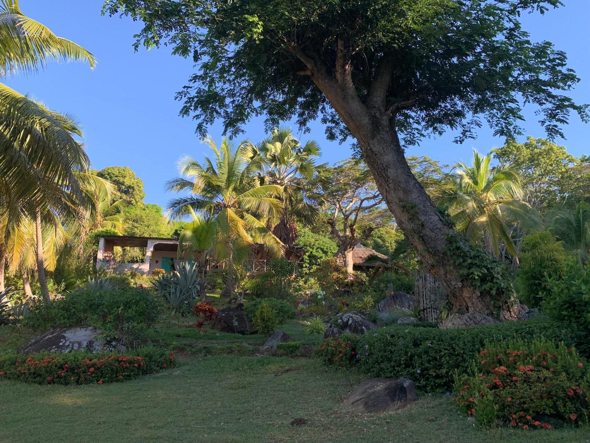 Bed and Breakfast Les Jardins D'Ankify Andimaka Exterior foto
