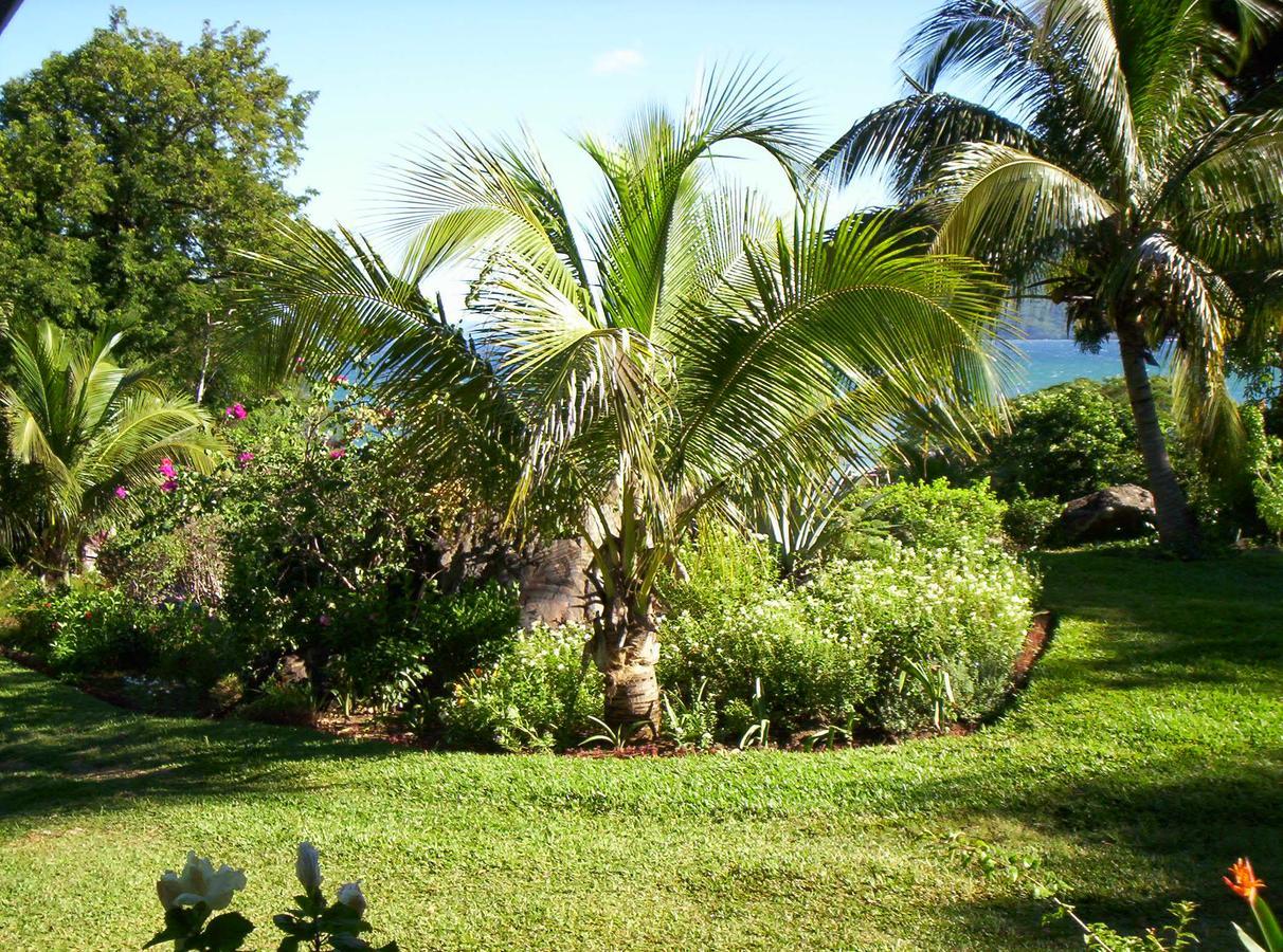 Bed and Breakfast Les Jardins D'Ankify Andimaka Exterior foto