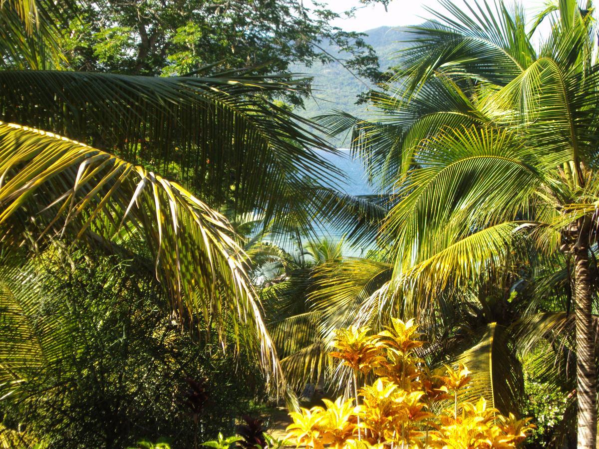 Bed and Breakfast Les Jardins D'Ankify Andimaka Exterior foto